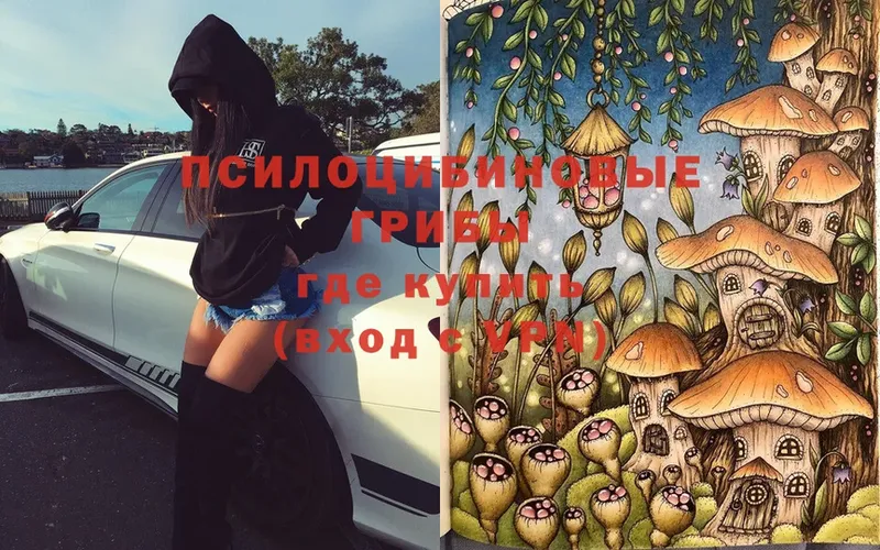 Галлюциногенные грибы Magic Shrooms  Курлово 